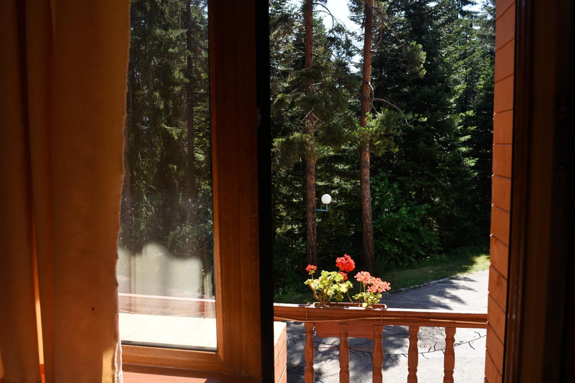 Ski Hotel Katerina Банско Экстерьер фото